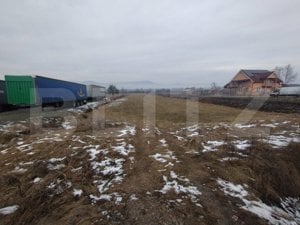 Teren intravilan/extravilan 3995 mp,22 m deschidere la DN17, zona Rusu Bargaului - imagine 2