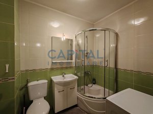 Vanzare apartament cu 1 camera, parcare la iceputul cartierului Borhanci!  - imagine 6