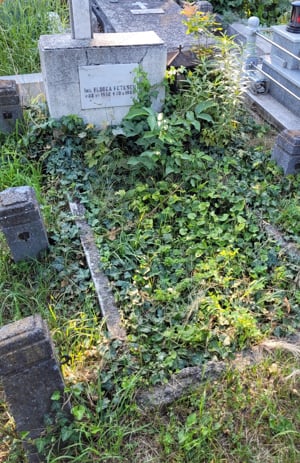 Vand loc de veci in Cimitirul Eternitatea Iasi