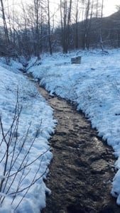 Teren intravilan la Plaiul Lisei, jud Brasov, Fagaras lângă mănăstirea de la Sîmbăta de Sus