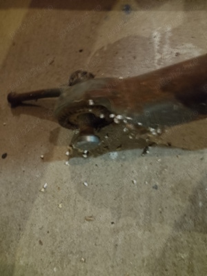 Adapter Remorca 2buc - imagine 3