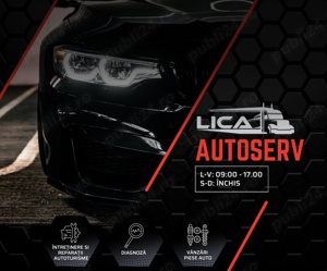 Service Reparatii Satu Mare