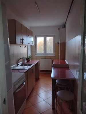 Dambu Pietros - Vanzare apartament 2 camere - B-dul. 1848 - imagine 2