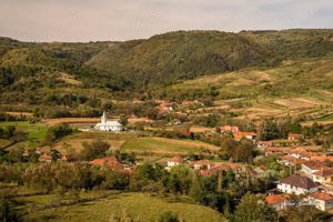 Vand casa cu gradina si curte Rachitova, Jud. HD - imagine 7