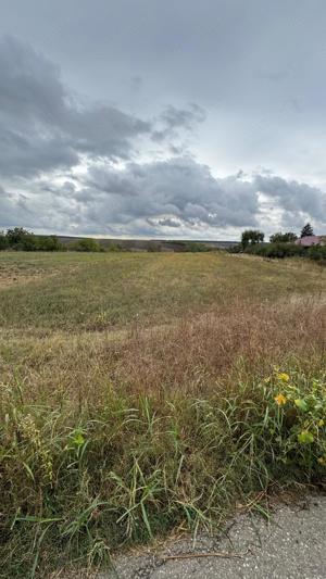 Vand teren Intravilan 1400 MP Vlad Tepes Giurgiu langa Comana - 30E MP - imagine 4