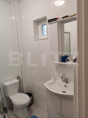 Apartament de vanzare, 37 mp, zona Ipotesti - imagine 4