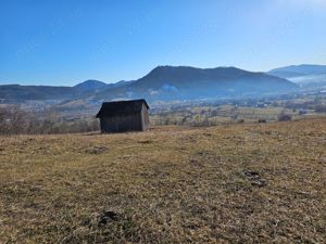 Teren extravilan de vanzare in Bucovina zona Frasin  - imagine 4