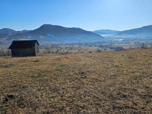 Teren extravilan de vanzare in Bucovina zona Frasin  - imagine 3