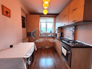 Apartament la etaj intermediar, zona Iulius Mall - imagine 8