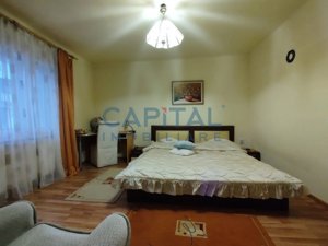 Casa cu mansarda, 7 camere, anexe, Sanmartin - imagine 12