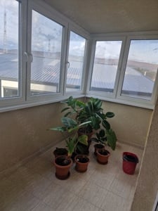 Persoana fizica închiriez apartament 2 camere floresti  - imagine 4