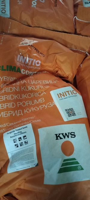 samanta seminte porumb KWS 2026 - imagine 2