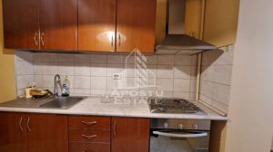 Apartament 3 camere decomandat, etaj 1, Zona Torontalului - imagine 6