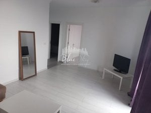 INEL II /SOLID HOUSE-  Apartament   2 camere  centrala pe gaz - imagine 14