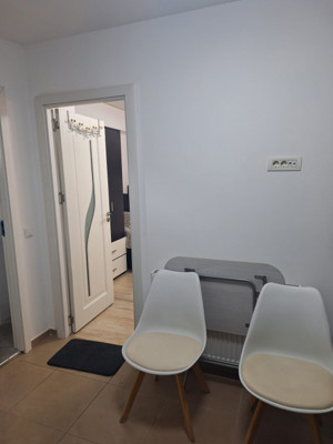 Garsoniera, 30 mp, centrala proprie, pet-friendly, AC, Piata Muncii - imagine 6