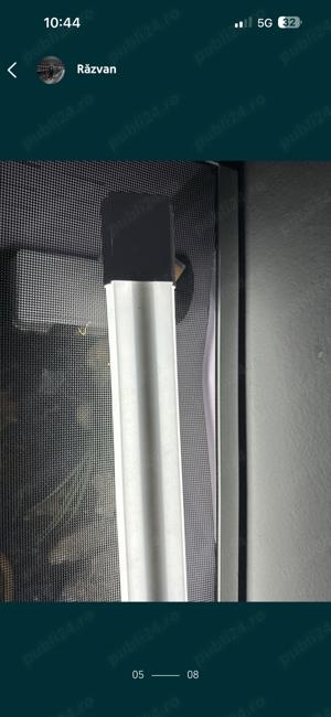 Gecko Leopard  - imagine 5