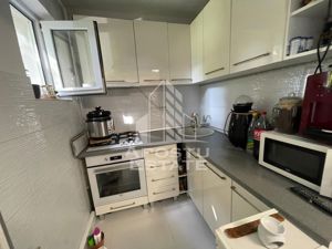 Apartament cu 3 camere, complet mobilat si utilat,  etaj 1, Sagului - imagine 2