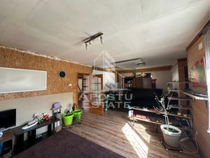 Casa P+M teren 654 mp Dumbravita Ikea