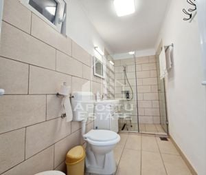 Casa individuala cu 3 camere,107 mp ,renovata recent ,Zona Aradul Nou - imagine 13