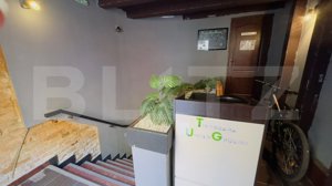 Spațiu Comercial Ultracentral, 190 mp, zona Cetatii - imagine 4