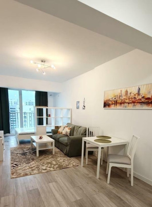 Garsoniera, 35mp, pet-Friendly, centrala, AC metrou, Theodor Pallady