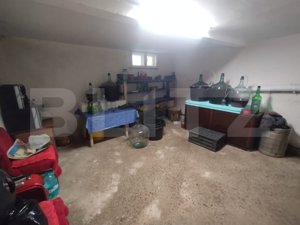 Casa cu 3 camere, 120 mp ,teren aferent 8 arij, zona Independentei - imagine 6