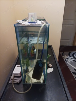 Vand acvariu - imagine 2