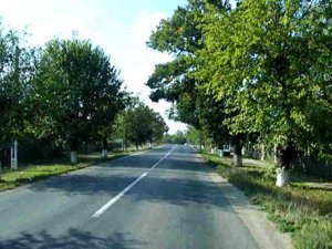 Loc de casa langa balta  Bucuresti  si Autostrada Soarelui - imagine 6