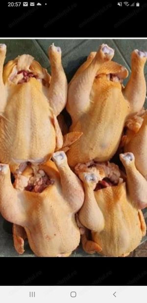 Vând găini de casă tăiate 25lei kg livrare la domiciliu in Brăila Galați și Tulcea detalii la tel 07 - imagine 2