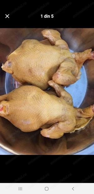 Vând găini de casă tăiate 25lei kg livrare la domiciliu in Brăila Galați și Tulcea detalii la tel 07 - imagine 4
