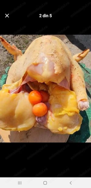 Vând găini de casă tăiate 25lei kg livrare la domiciliu in Brăila Galați și Tulcea detalii la tel 07 - imagine 3