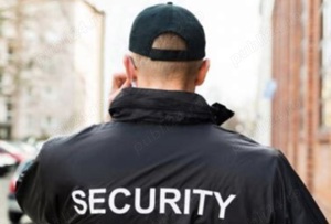 agent paza cu permis categoria b