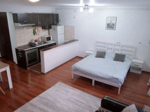 Se închiriază apartament cu o camera in regim hotelier Baia Mare - imagine 5