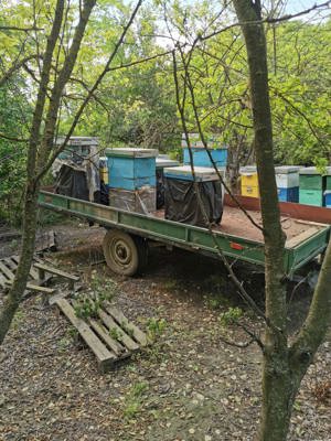 Remorca auto  - imagine 2