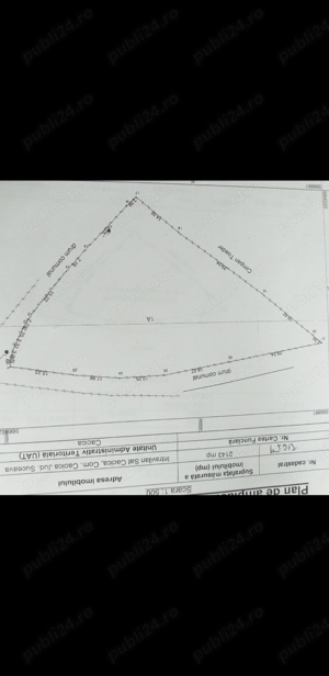 Teren vanzare - 2 parcele - Cacica - imagine 4