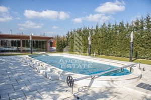 Vila,Piscina,teren fotbal,gradina,vegetatie - imagine 18