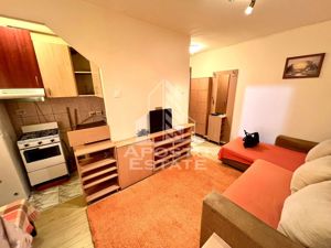 Apartament cu 2 camere in zona Sagului, bloc anvelopat - imagine 3