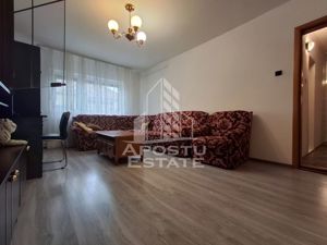 Apartament 2 camere decomadat Micalaca - imagine 5