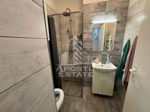 Apartament la curte, zona Simion Barnutiu/Take Ionescu - imagine 5