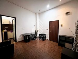 Apartament 2 camere, centrala proprie, PetFriendly,zona Ultracentrala - imagine 3