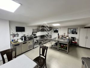 Pensiune in functiune, 12 camere plus un apartament, zona CETATII - imagine 13