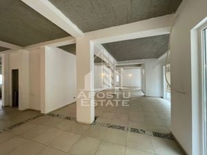 Spatiu comercial 170 mp, SAD, open space, Zona Ghiroda- Lugojului. - imagine 3