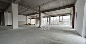 Spatiu comercial 340 mp utili, SAD, etaj1, parcari, Torontalului. - imagine 3