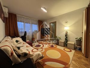 Apartament cu 2 camere in zona Iosefin-Sagului