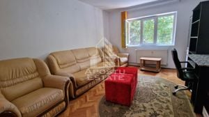 Apartament cu 2 camere, centrala proprie, zona Lipovei - imagine 2