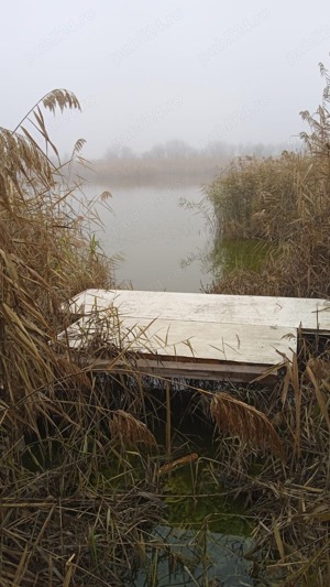 Teren de vânzare lângă baltă ciocarlia  Ialomița 