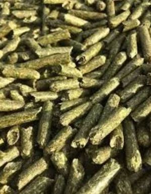 Peleti lucerna Hanes