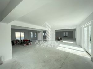 Spatiu comercial 238 mp, zona Lipovei , artera circulata - imagine 3