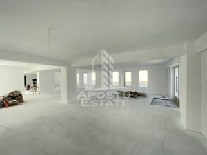 Spatiu comercial 238 mp, zona Lipovei , artera circulata - imagine 5