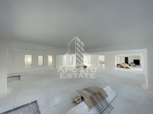 Spatiu comercial 238 mp, zona Lipovei , artera circulata - imagine 2